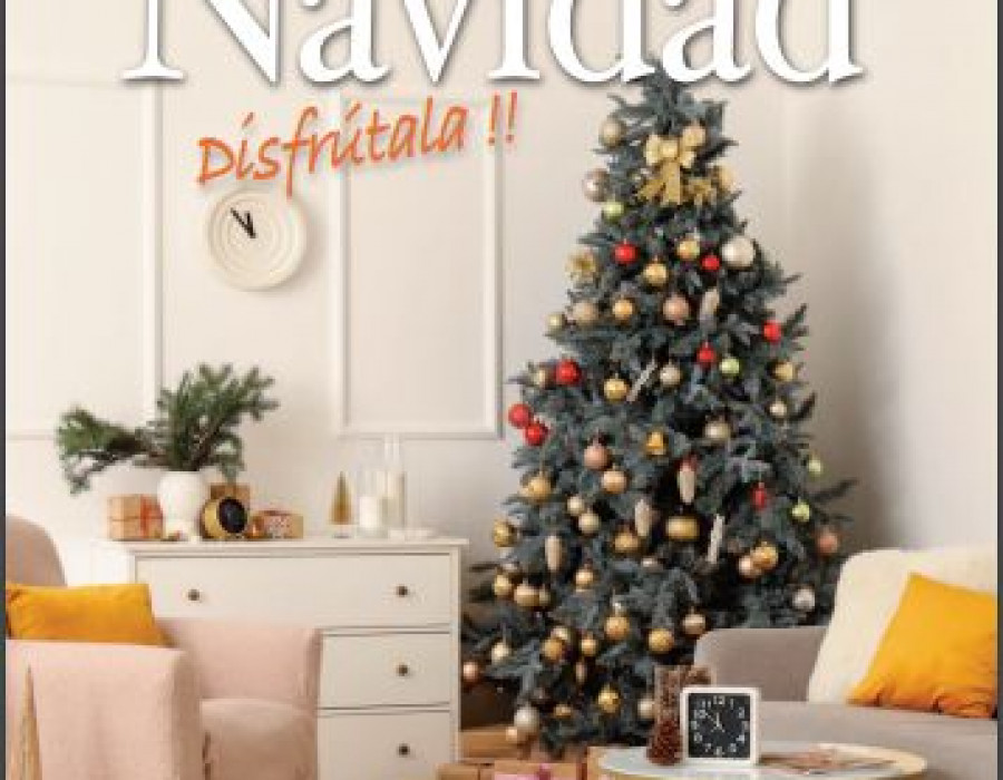 Ferrcash navidad