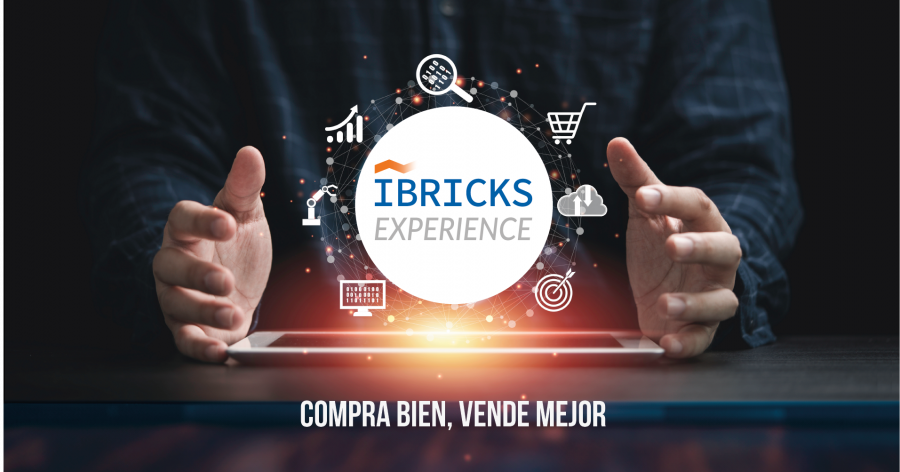 Identidad Ibricks Experience